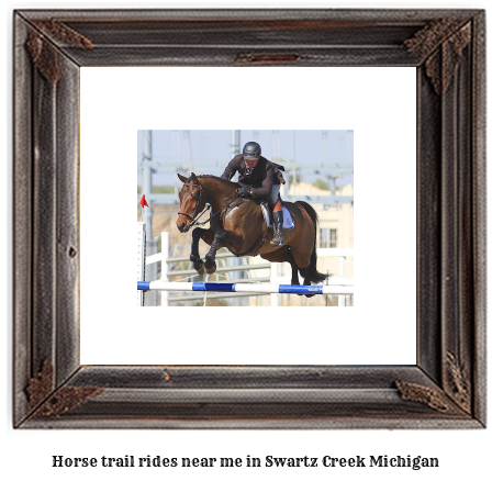 horse trail rides near me in Swartz Creek, Michigan